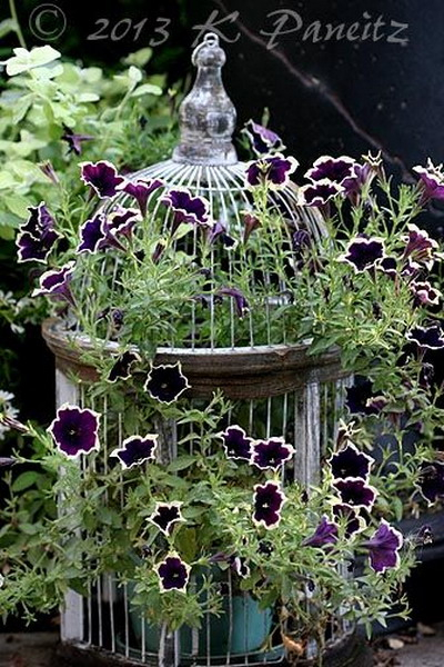 flowers-in-bird-cages-ideas2-4-2 (400x600, 317Kb)