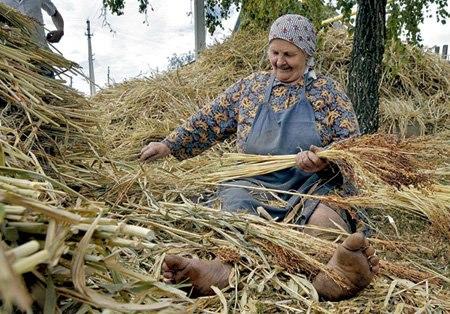 веники