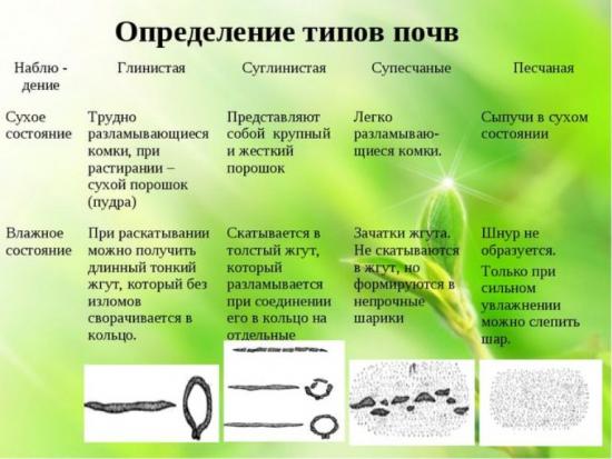 определение типов почв