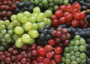 Различные сорта винограда