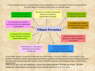 Ученых интересовали не только общие вопросы ботаники, а и отдельные стороны жизн