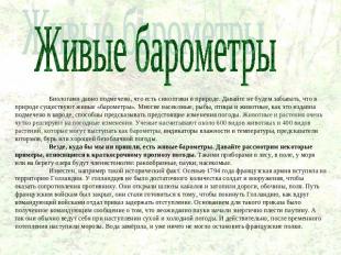 Живые барометрыБиологами давно подмечено, что есть синоптики в природе. Давайте