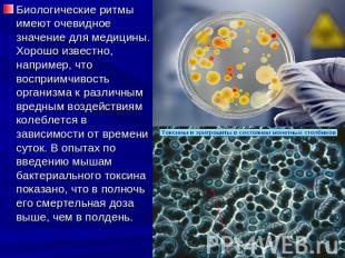 Биологические ритмы имеют очевидное значение для медицины. Хорошо известно, напр