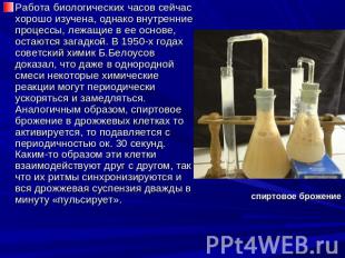 Работа биологических часов сейчас хорошо изучена, однако внутренние процессы, ле