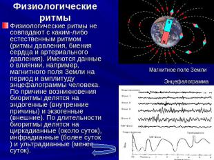 Физиологические ритмы Физиологические ритмы не совпадают с каким-либо естественн