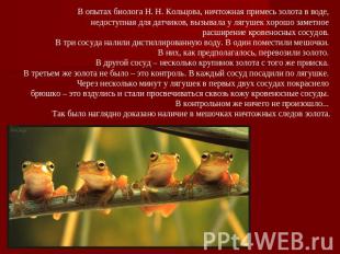 В опытах биолога Н. Н. Кольцова, ничтожная примесь золота в воде, недоступная дл