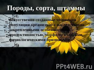 Породы, сорта, штаммы искусственно созданные человеком популяции организмов с на