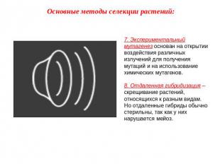 Основные методы селекции растений: 7. Экспериментальный мутагенез основан на отк