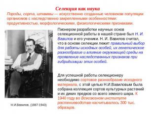 Селекция как наука Породы, сорта, штаммы — искусственно созданные человеком попу