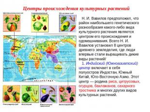 Центры происхождения культурных растений Н. И. Вавилов предположил, что район на