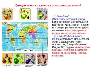 Центры происхождения культурных растений 2. Китайский (Восточноазиатский) центр