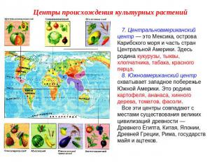 Центры происхождения культурных растений 7. Центральноамериканский центр — это М