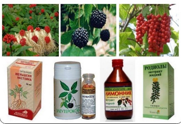 Схожие растения и их препараты