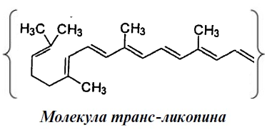 молекула транс ликопина