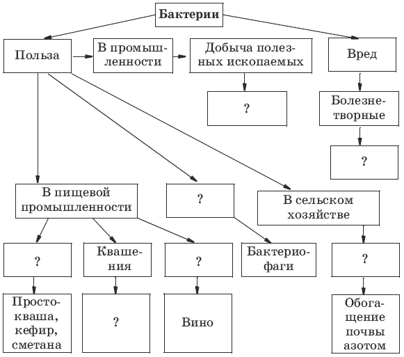 Царство растений схема.