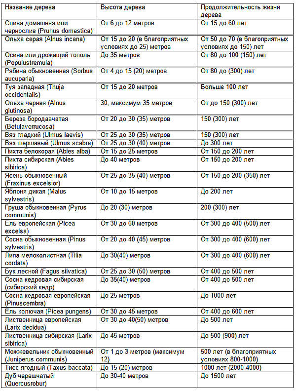 prodolzhitelnost-zhizni-raznyh-derevev-tablitsa