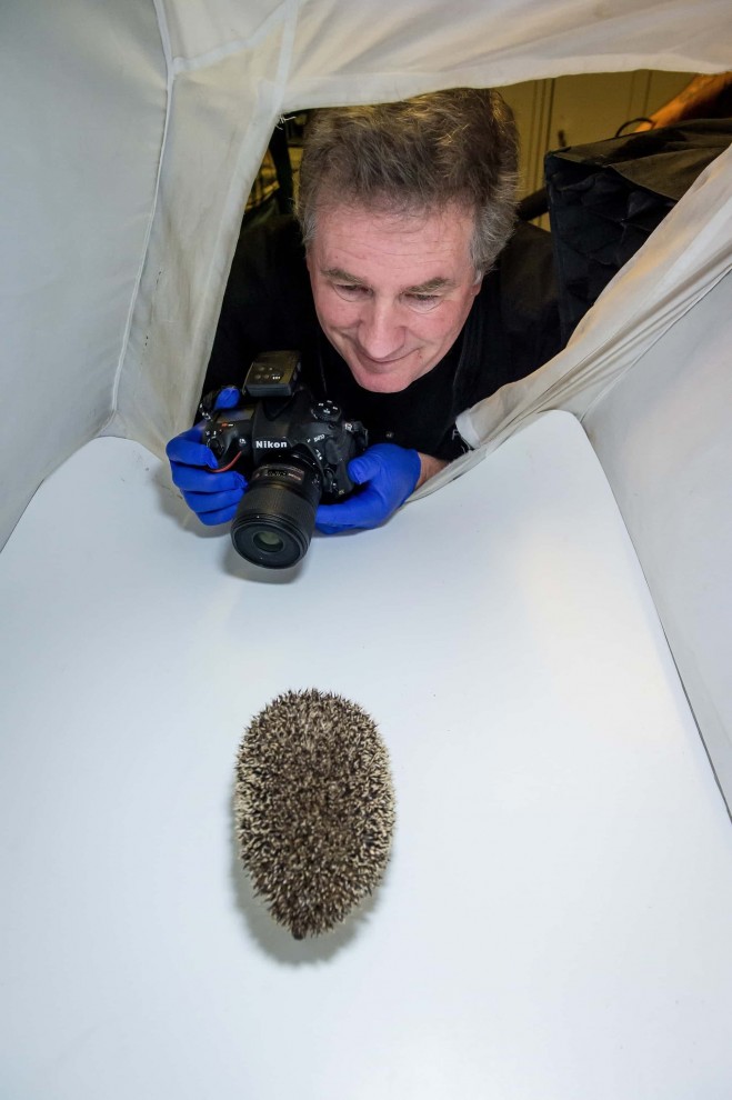 Жизнь животных и растений на фотографиях