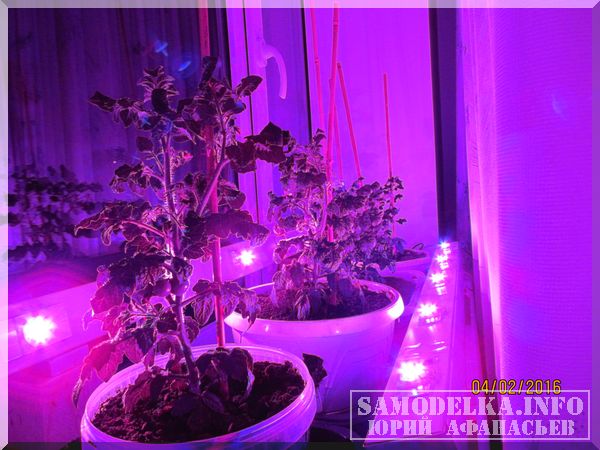 Самодельная светодиодная лампа для растений