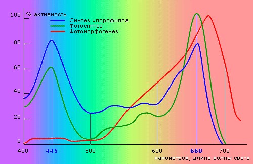 Длина световой волны