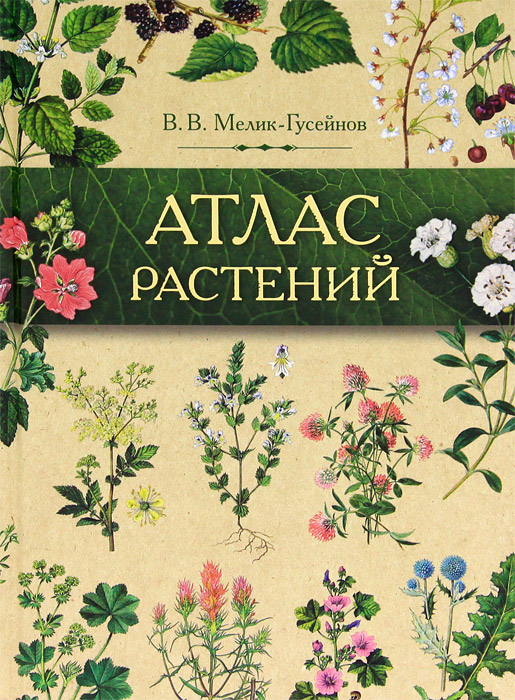 Атлас растений. Растения в народной медицине России и сопредельных государств