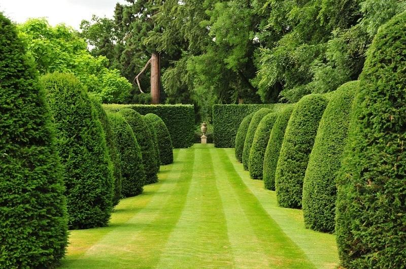 топиарный сад в Британии