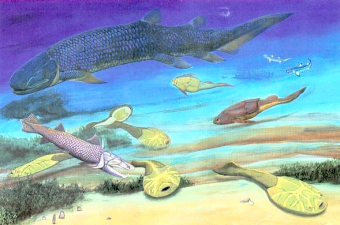 Рыбы девонского периода.