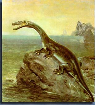 Нотозавр (Nothosauria).