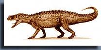 Престозухус (Prestosuchus).