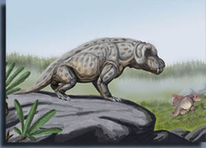 Антеозавр. Anteosaurus