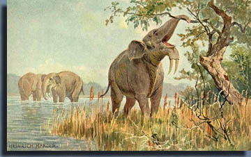 Дейнотерий (Deinotherium)