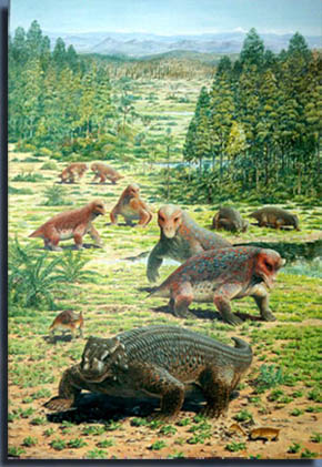 Tapinocephalus, Struthiocephalus, Lycosuchus, Robertia and Bradysaurus.