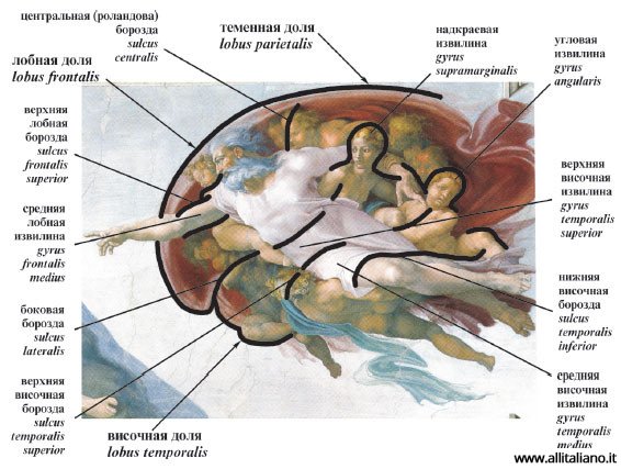 sikstinskaja-kapella-vatikan-efetov-konobella-allitaliano.it (6)