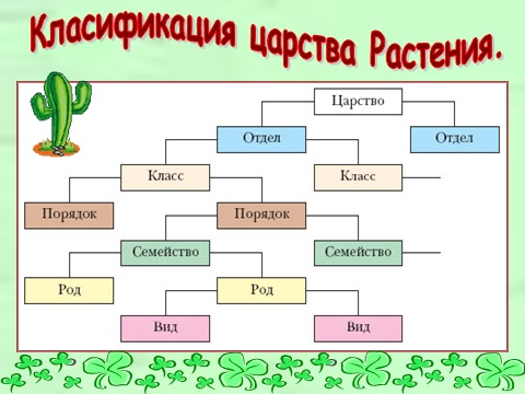 sistematika-rastenij