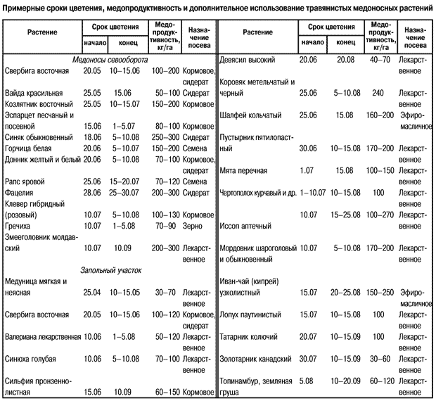 Календарь цветения медоносов