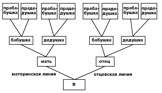 Вертикальная табличка родословной