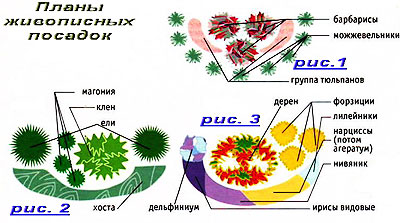 Пестролистые растения