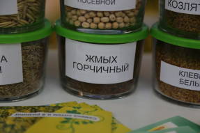 Жмых горчичный