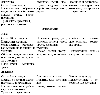 § 56. Семенные растения 