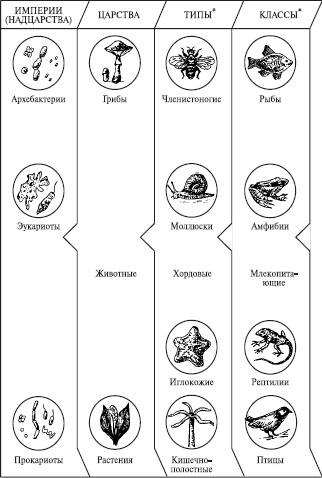 § 50. Система классификации живых организмов 