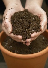 Почва для пересадки комнатных растений