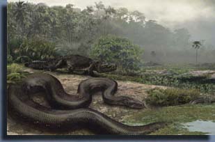 Титанобоа (Titanoboa)