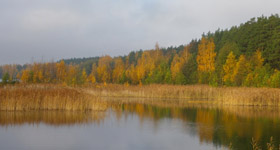 осенние явления природы