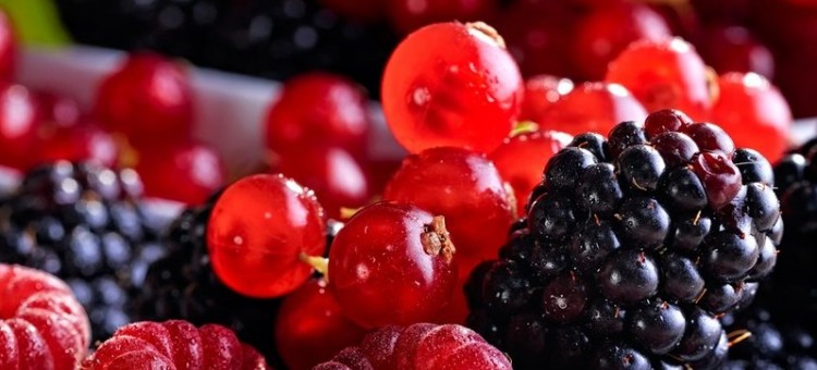 Список статей из категории «Плодово — ягодные культуры»