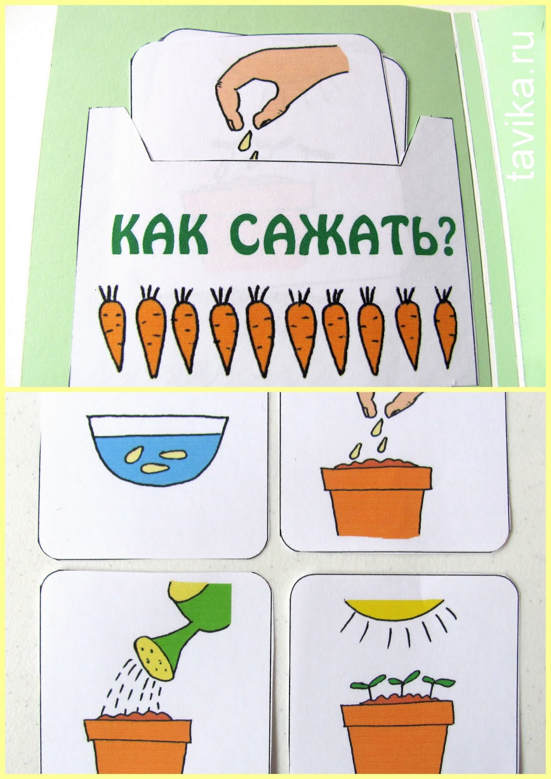 lapbook "My garden"