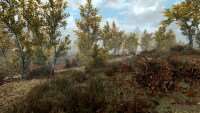 skyrim-se-uluchshennaya-rastitelnost-vanilla-vegetation-overhaul4