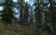 Skyrim - Ретекстур всей флоры в игре / Skyrim Flora Overhaul