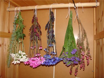 сушка цветов, как правильно сушить, цветы своими руками, растения, совет, полевые цветы, природные материалы, композиции, украшение интерьера