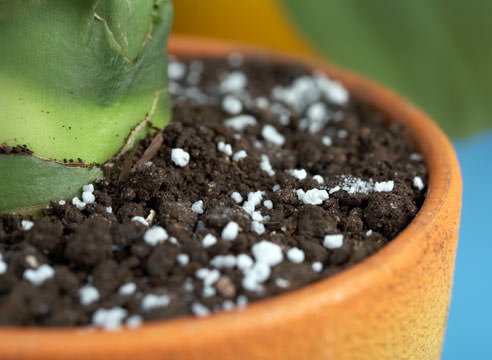 Калий помогает растениям усваивать углекислый газ из атмосферного воздуха