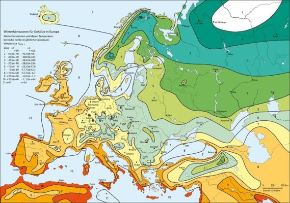 Карта зимостойкости и морозостойкости растений Европы
