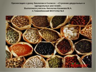 Презентация к уроку биологии в 6 классе : «Строение двудольных и однодольных